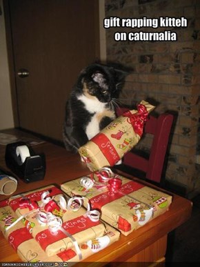 gift rapping kittehon caturnalia