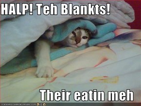 HALP! Teh Blankts!  Their eatin meh
