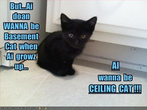 But...Ai  doan  WANNA  be  Basement  Cat  when  Ai  growz  up...