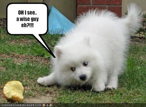 OH I see.. a wise guy eh?!!!