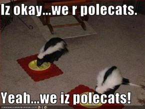 Iz okay...we r polecats.  Yeah...we iz polecats!