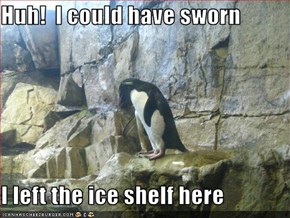 Huh!  I could have sworn  I left the ice shelf here