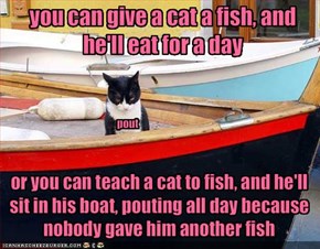 you can give a cat a fish, and he'll eat for a day