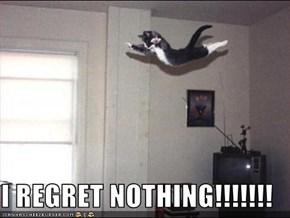 I REGRET NOTHING!!!!!!!