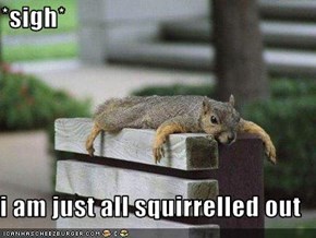 *sigh*  i am just all squirrelled out