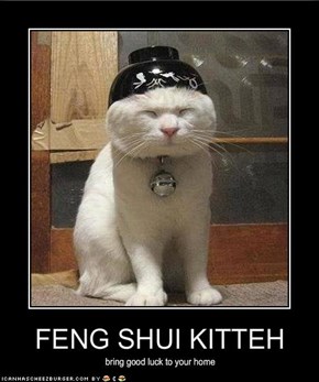 FENG SHUI KITTEH