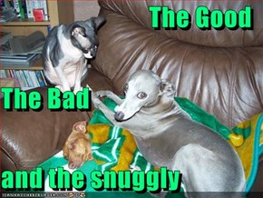 The Good  The Bad  and the snuggly