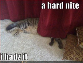 a hard nite  i hadz it