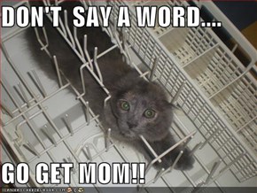 DON'T  SAY A WORD....  GO GET MOM!!