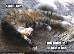 sun salutation