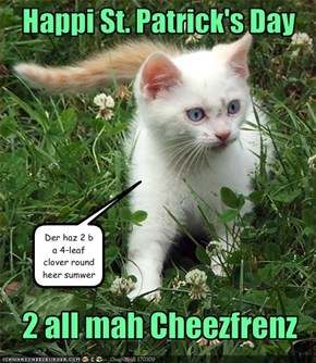 Happi St. Patrick's Day
