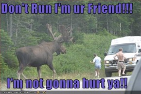 Don't Run I'm ur Friend!!!  I'm not gonna hurt ya!!
