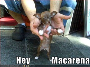 Hey            Macarena