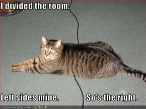 I divided the room.  Left sides mine.                So's the right.