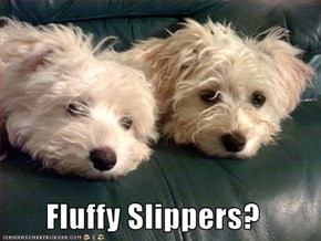 Fluffy Slippers?