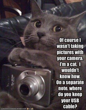 Of course I wasn't taking pictures with your camera.  I'm a cat.  I wouldn't know how.On a separate note, where do you keep your USB cable?