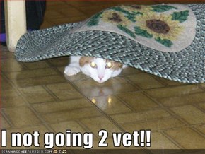 I not going 2 vet!!