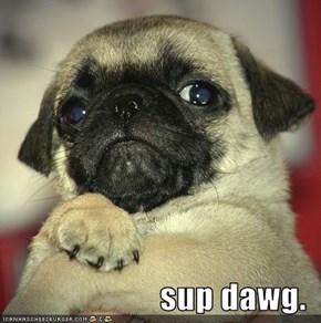 sup dawg.