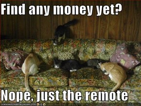 Find any money yet?  Nope, just the remote