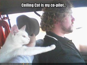 Ceiling Cat is my co-pilot...
