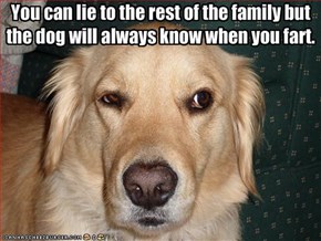 You can lie to the rest of the family but the dog will always know when you fart.