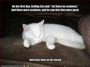 On the First Day, Ceiling Cat said: "Let there be cushions."And there were cushions, and he saw that they were good.