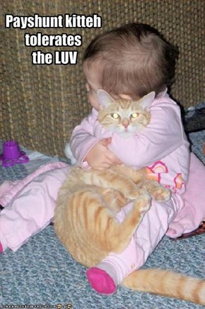 Payshunt kitteh tolerates the LUV