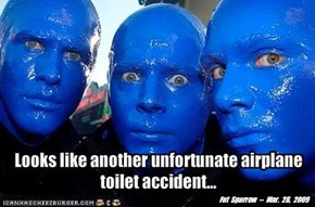 Looks like another unfortunate airplane toilet accident...