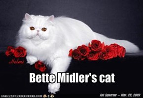 Bette Midler's cat