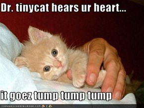 Dr. tinycat hears ur heart...  it goez tump tump tump
