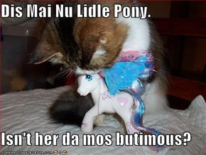 Dis Mai Nu Lidle Pony.  Isn't her da mos butimous?