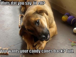 Wuts dat you say, lil elf?  You wants your candy canes back? Tuff.