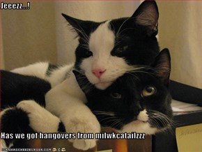 Jeeezz...!  Has we got hangovers from milwkcatailzzz