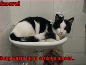 Aaaaww!  keep wakin' up in strange places..