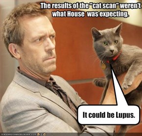 It could be Lupus.