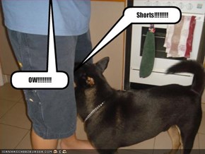 Shorts!!!!!!!!