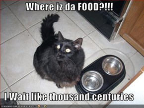 Where iz da FOOD?!!!  I Wait like thousand centuries