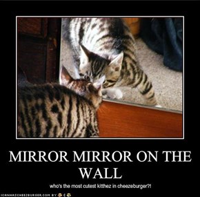 MIRROR MIRROR ON THE WALL
