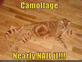 Camoflage  Nearly NAIL it!!!