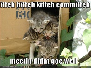 itteh bitteh kitteh committeh  meetin didnt goe well
