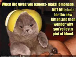 When life gives you lemons- make lemonade,