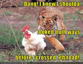 Dang! I knew I shoulda  looked both ways before I crossed teh road!