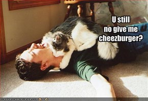 U stillno give mecheezburger?