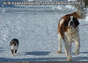 ai'm nawt followin u, an ur nawt folwin me.