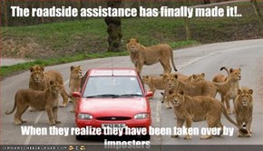 The roadside assistance has finally made it!..