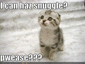 I can haz snuggle?  pwease???