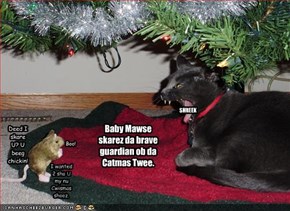 Baby Mawse skarez da brave guardian ob da Catmas Twee.