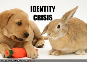 IDENTITY CRISIS