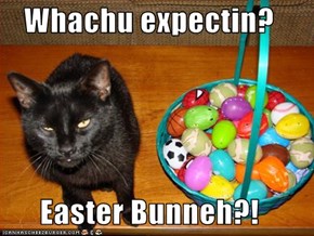 Whachu expectin?   Easter Bunneh?!