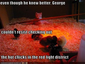 even though he knew better, George  couldn't resist checking out  the hot chicks in the red light district